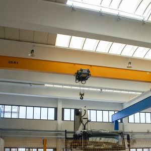 T(mn)  giant gantry crane